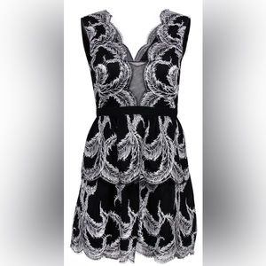 BCBG Max Azria - Black & White Lace Fit & Flare Dress Size 10